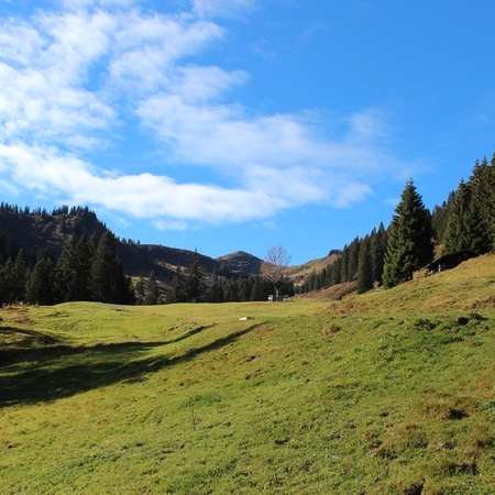 Hundetreffen 2016 im Allgäu (7)